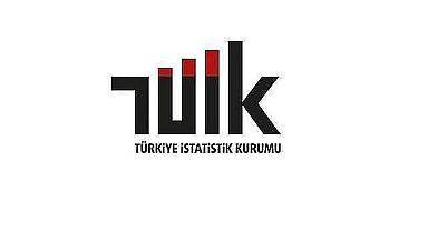 Türkiye'de “Yönetici ve İş İnsanlarının” TÜİK verilerine yönelik görüşleri ölçüldü!