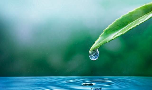 Gelecek nesillerin refahı ve barışı için su kaynaklarının doğru kullanımı en kritik adım