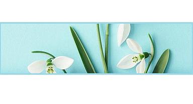 Hoş Geldin - Aksa Doğalgaz!