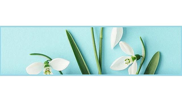 Hoş Geldin - Aksa Doğalgaz!