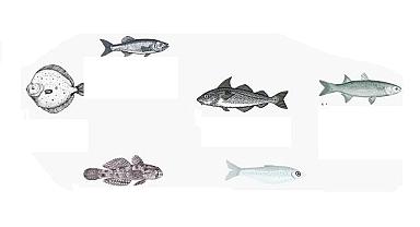 Mart ayında ne yenir? - Aksa Doğalgaz hazırladı!