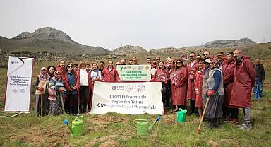 QNB Sigorta - Orman…