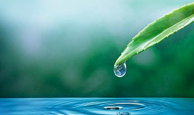 Su kaynaklarının doğru kullanımı en kritik adım - SUDER!