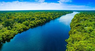 TEMA Vakfı - Barışçıl bir dünya için orman ve su varlıklarına ihtiyacımız var!