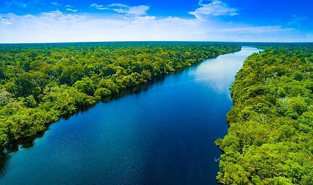 TEMA Vakfı - Barışçıl bir dünya için orman ve su varlıklarına ihtiyacımız var!