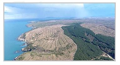 Elektrik Mühendisleri Odası - SİNOP Nükleer Santral açıklaması yaptı!