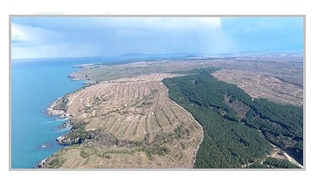 Elektrik Mühendisleri Odası - SİNOP Nükleer Santral açıklaması yaptı!