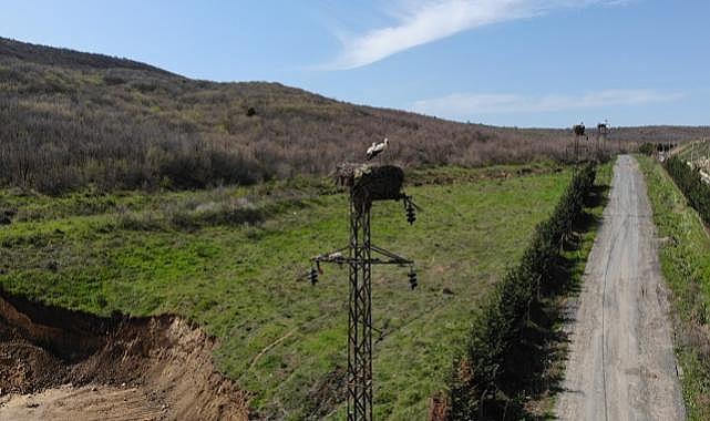 Güvenli göç güzergâhında leyleklerin yuvası hazır - TREDAŞ!
