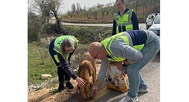 OEDAŞ - Sokaktaki can dostları unutmadı...