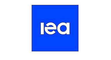 Pil pazarının yüzde 90 hakimi ENERJİ sektörü oldu - IEA!