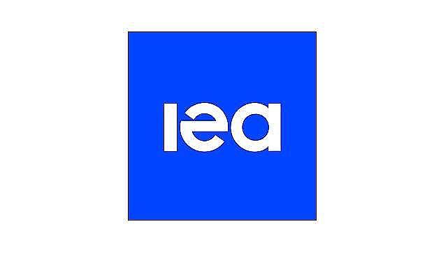 Pil pazarının yüzde 90 hakimi ENERJİ sektörü oldu - IEA!