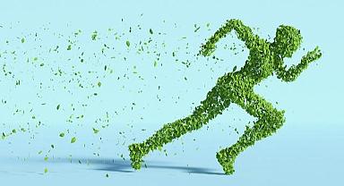 Artık eğitimin de ‘yeşil’i makbul!