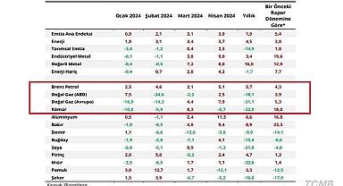 Merkez Bankası ''PETROL - DOĞAL GAZ - KÖMÜR ve diğer emtialar'' için fiyat tahmin ve değerlendirmesi yaptı!