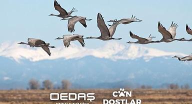 OEDAŞ ‘Can Dostlar’ projesinin kapsamını genişletti