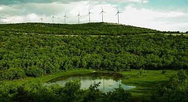 Polat Enerji yenilenebilir enerji yatırımlarına devam ediyor