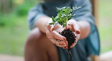 Schneider Electric - Sürdürülebilirlik Etki Programıyla…