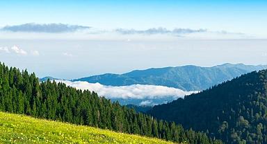 Dünya Çevre Günü - TEMA Vakfı’ndan Anlamlı Mesaj…