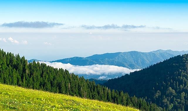 Dünya Çevre Günü - TEMA Vakfı’ndan Anlamlı Mesaj…