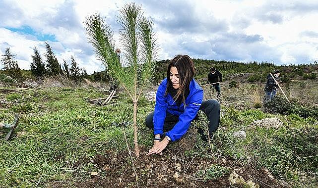 Enerjisa Üretim -  ‘Her Fidan Bir Umut’ projesi ile Türkiye’nin ormanlarına 1 milyonu aşkın fidan…