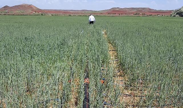 Modern sulama yöntemleriyle SU ayak izinde yüzde 21 azaltım sağlandı!