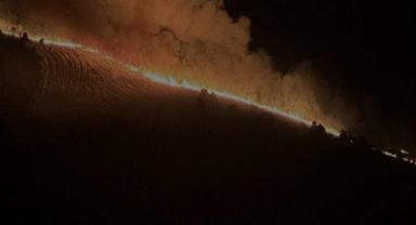 TEMA Vakfı - Başımız sağ olsun!