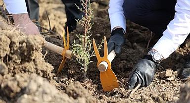 Uludağ Elektrik - Yeşil Dönüşüm ''11 Futbol Sahası'' büyüklüğüne ulaştı!