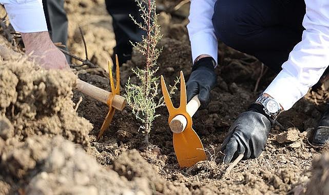 Uludağ Elektrik - Yeşil Dönüşüm &#039;&#039;11 Futbol Sahası&#039;&#039; büyüklüğüne ulaştı!