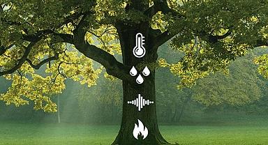 Yalıtımsız binalar Dünya’nın ENERJİSİNİ tüketiyor - İZODER!