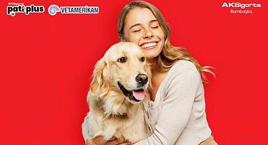 Aksigorta'dan evcil hayvan sahiplerini en iyi anlayan sigorta: Aksigorta Pati Plus VetAmerikan