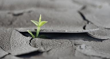 Çevresel Riskler Sigorta Sektörünü Nasıl Etkiliyor?