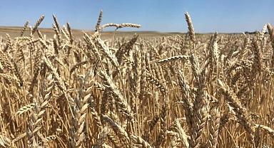 ETi Burçak ve WWF-Türkiye “Toprak Gönüllüleri…”