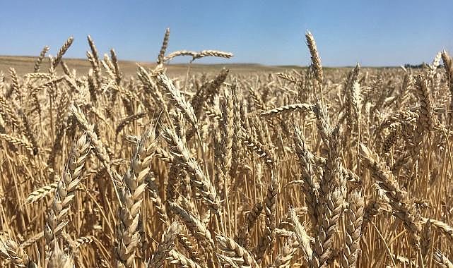 ETi Burçak ve WWF-Türkiye “Toprak Gönüllüleri…”