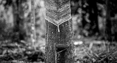 Pirelli - FOSİL kökenli malzemelerin yerine…