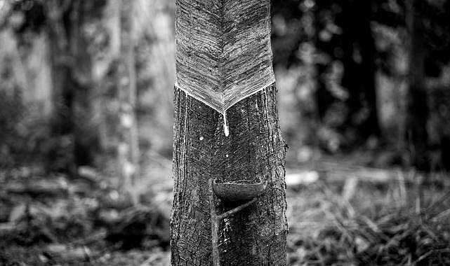 Pirelli - FOSİL kökenli malzemelerin yerine…