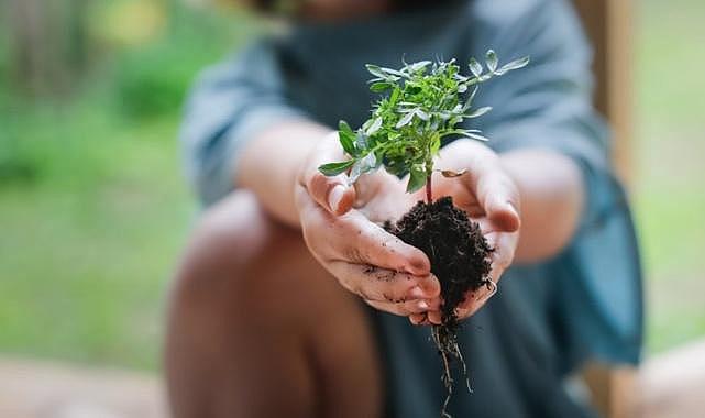 Schneider Electric - “2024 Sürdürülebilirlik Etki Ödülleri Başvuruları Başladı”