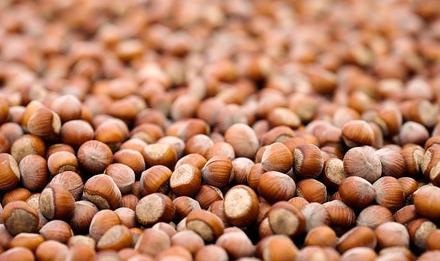 Sürdürülebilir fındık için kaydettiği güçlü ilerlemeyi ve yeni dönem hedeflerini açıkladı!