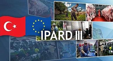 Yenilenebilir ENERJİ de var - Destek programı açılandı!