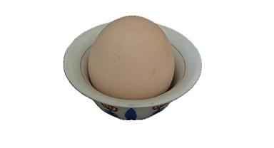 Yumurta ve muz kabuklarını atmayın - Aksa Doğalgaz hazırladı!