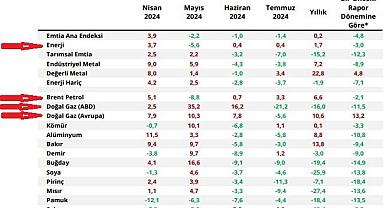 Enerji kalemlerinin enflasyona etkisi - Merkez Bankası Enflasyon Raporu!
