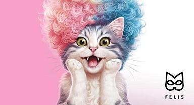 GÜNCEL - “19. Felis Ödülleri Başvuruları Başladı”