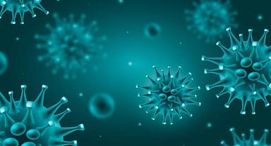 GÜNCEL - Maymun Çiçeği Virüsü kapıda mı?