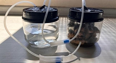 İstanbul Bilgi Üniversitesi öğrencileri MANYOK atıklarından  BİYOGAZ üretti -  Elektrik üretiminde kullanılacak!