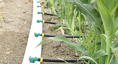 PepsiCo - "2030 yılına kadar 'Net Su Pozitif' şirket olma…