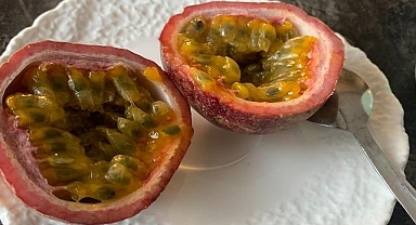 Prof. Dr. Kadıoğlu - Aşırı yağış isteyen TROPİKAL meyvelere mutlaka...