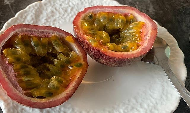 Prof. Dr. Kadıoğlu - Aşırı yağış isteyen TROPİKAL meyvelere mutlaka...