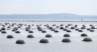 CarrefourSA’dan Mavi Ekonomi ile Sürdürülebilir Deniz Ürünleri Atağı