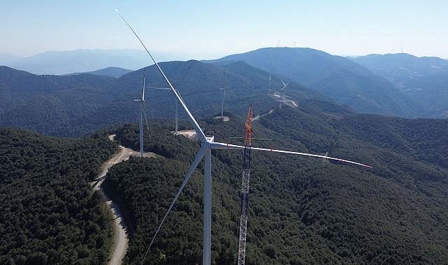 Eksim Enerji - Temiz Enerji Yatırımlarında Yaban Hayatını Koruyor!