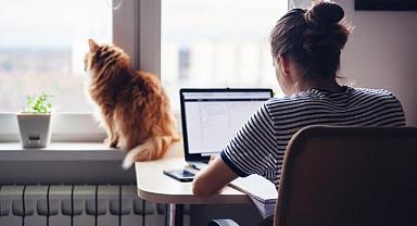 Gençleri “iş ve burs” vaadiyle kandırmaya çalışıyorlar - Siber Güvenlik Şirketi ESET!