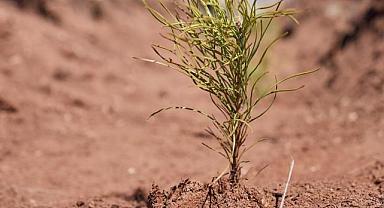 Uludağ Elektrik - Sürdürülebilir Bir Dünya İçin Elektronik Fatura Dönemi!