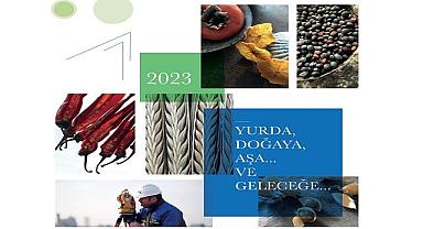 Aksa Doğalgaz - Faaliyet raporuyla dünyanın ve Türkiye'nin en iyisi oldu!
